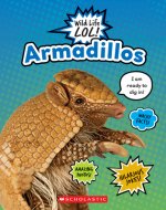 Armadillos (Wild Life Lol!)
