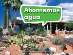 Book 026: Ahorremos Agua: Leveled Reader, Enrichment Grade K