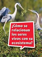 Book 100: ?Cómo Se Relacionan Los Seres Vivos Con Su Ecosistema?: Leveled Reader, Extra Support Grade 3