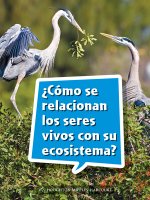 Book 111: ?Cómo Se Relacionan Los Seres Vivos Con Su Ecosistema?: Leveled Reader, on Level Grade 3