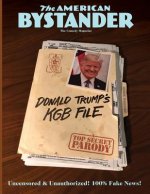 American Bystander #11
