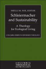 Schleiermacher and Sustainability: A Theology for Ecological Living