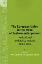 European Union in the Wake of Eastern Enlargement