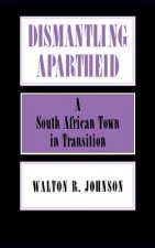 Dismantling Apartheid: A South African Town in Transition