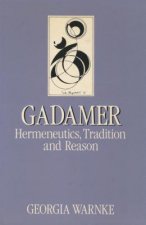 Gadamer: Hermeneutics, Tradition, and Reason