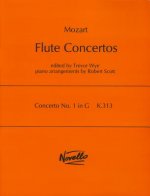Concerto No. 1 in G, K.313