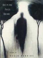 Driving Face Down: Poems
