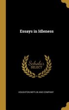 Essays in Idleness