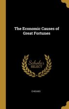 The Economic Causes of Great Fortunes