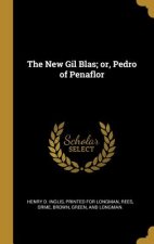 The New Gil Blas; or, Pedro of Penaflor