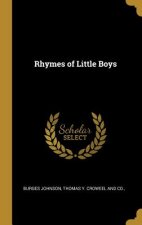 Rhymes of Little Boys
