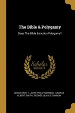 The Bible & Polygamy: Does The Bible Sanction Polygamy?