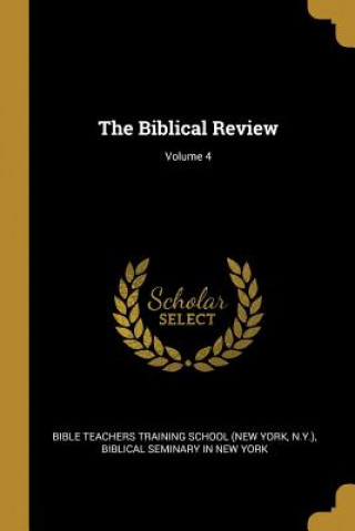 The Biblical Review; Volume 4