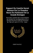 Rapport Du Comitte Secret Nomme Par La Chambre Basse Du Parlement De La Grande Bretagne: Pour Faire L'examen Des Livres & Papiers Qui Roulent Sur Les