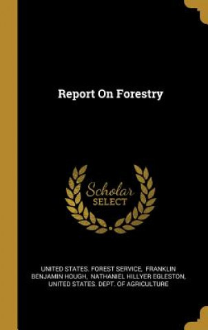 Report On Forestry