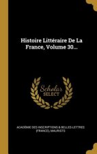 Histoire Littéraire De La France, Volume 30...