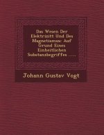 Das Wesen Der Elektrizit T Und Des Magnetismus: Auf Grund Eines Einheitlichen Substanzbegriffes ......