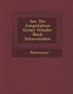 Ber Die Amputation Gro Er Glieder Nach Schu Wunden