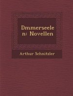 D Mmerseelen: Novellen
