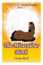 Miraculous Birth