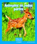Animales En Todas Partes
