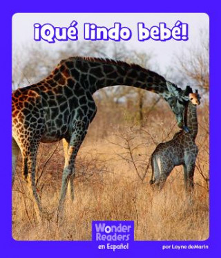 ?Qué Lindo Bebé!