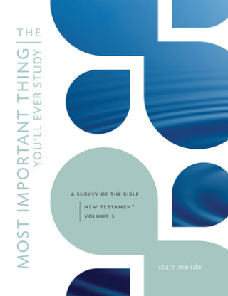 The Most Important Thing You'll Ever Study, Volume 3: A Survey of the Bible: New Testament, Vol. 3