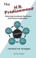 The H.R. Predicament: Balancing Functional Excellence and Process Integration...Pratical H.R. Strategies