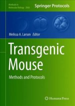 Transgenic Mouse
