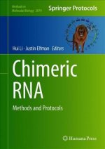 Chimeric RNA