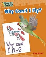 Why Can't I Fly?