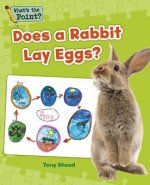 Does a Rabbit Lay Eggs?