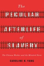 Peculiar Afterlife of Slavery
