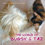World of Bugsy & Taz