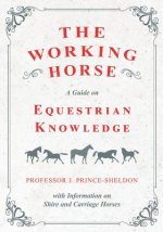 The Working Horse - A Guide on Equestrian Knowledge with Information on Shire and Carriage Horses
