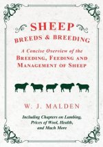 Sheep Breeds and Breeding - A Concise Overview of the Breeding, Feeding and Management of Sheep, Including Chapters on Lambing, Prices of Wool, Health