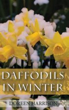 Daffodils in Winter