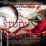 A Study in Scarlet