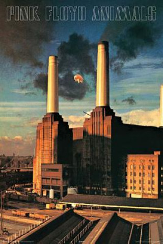 Pink Floyd - Animals - Wall Poster: 24 Inches X 36 Inches