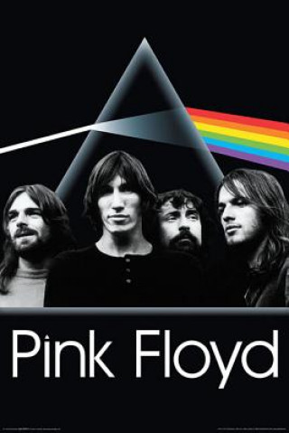 Pink Floyd - Dark Side Group - Wall Poster: 24 Inches X 36 Inches