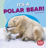 It's a Polar Bear!