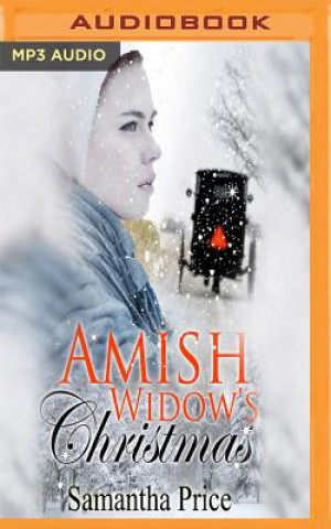 Amish Widow's Christmas