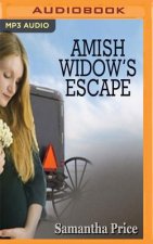 Amish Widow's Escape
