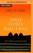 Three Stones Make a Wall: The Story of Archaeology