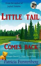 Little Tail Comes Back, Chapter Book #12: Happy Friends, Diversity Stories Children's Series