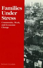 Families Under Stress: Community, Work, and Economic Change
