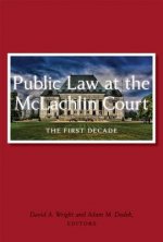 Public Law at the McLachlin Court: The First Decade