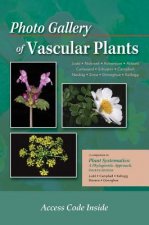 Photo Gallery of Vascular Plants