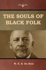 Souls of Black Folk