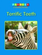 Terrific Teeth